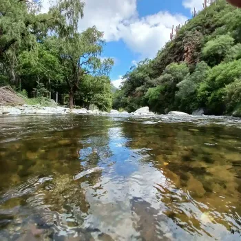 Salida privada al Rio el Tala
