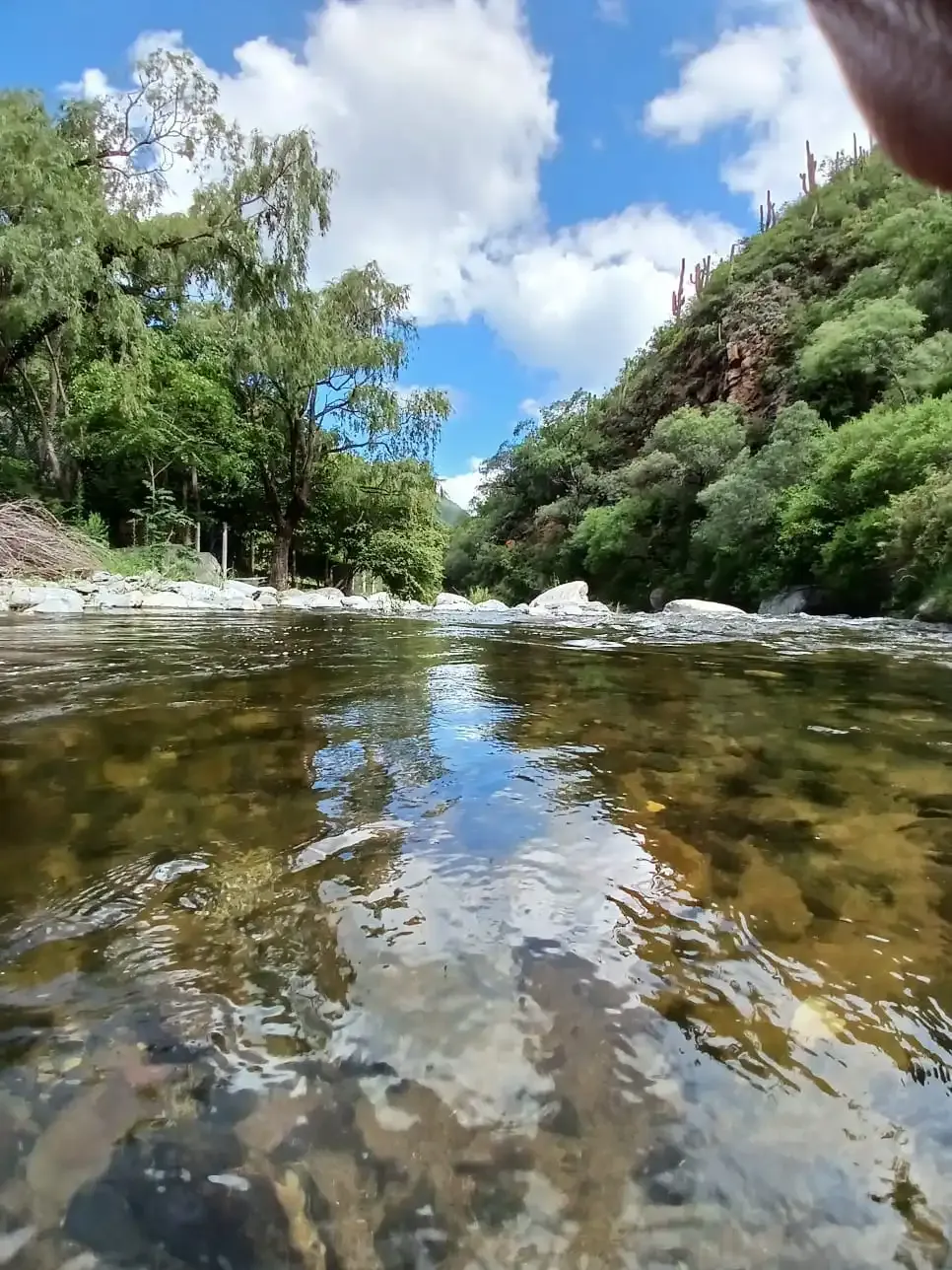 Salida privada al Rio el Tala