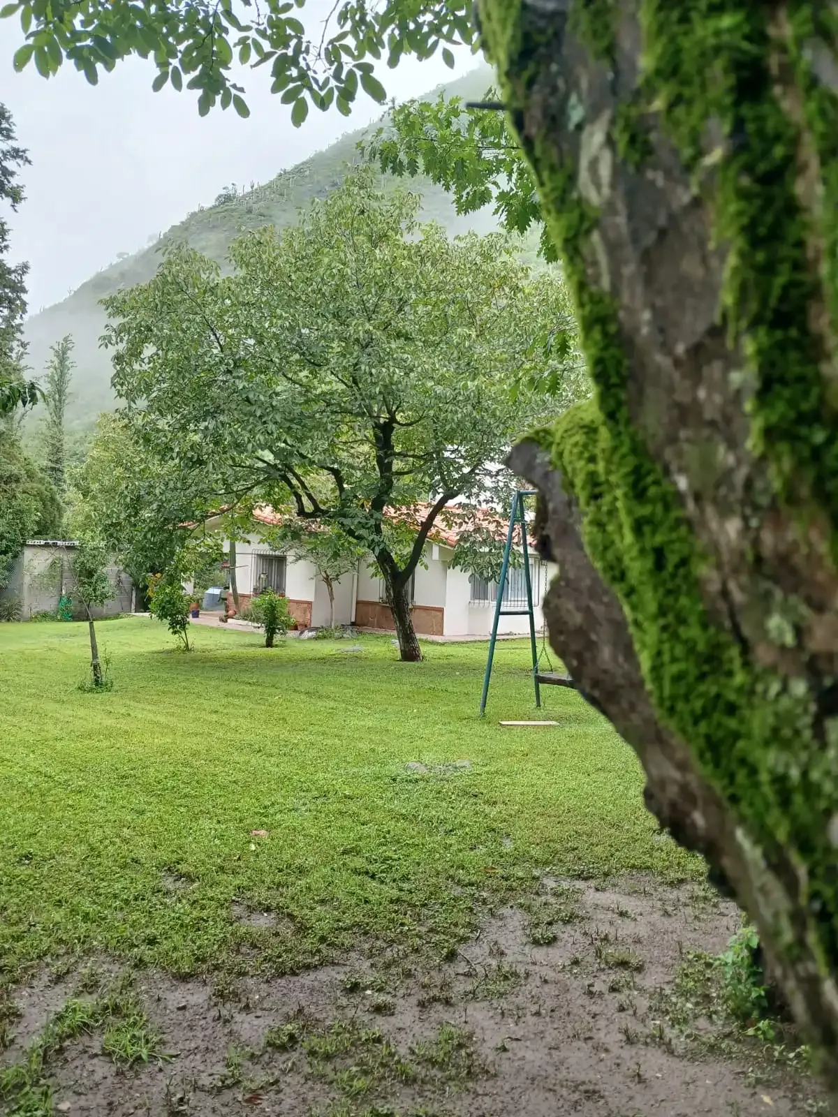 La casa a través de sus rincones verdes