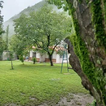 La casa a través de sus rincones verdes