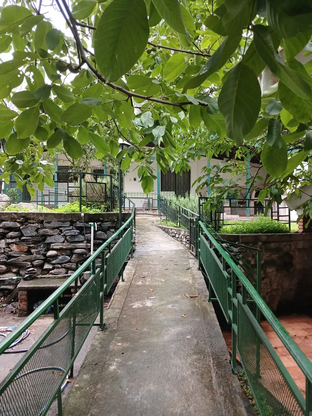 Acceso al rio por rampa preparada para personas con movilidad reducida
