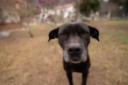 Diana disfrutando el día